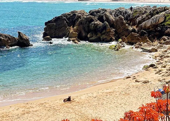 Fantastico T2 Vista Mar E Golfe E Terraco Privado C5 * ヴァウ